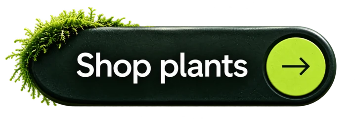Shop plants